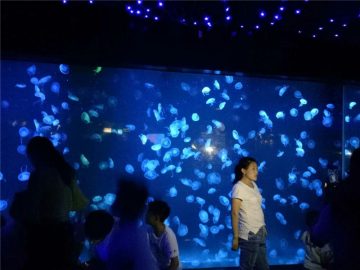 2018 akril suvi akvarium tank shisha