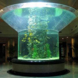 pmma shisha akvarium yarim silindrli perspex aniq baliq tank