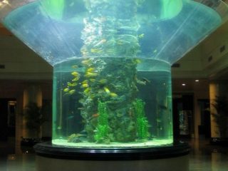 pmma shisha akvarium yarim silindrli perspex aniq baliq tank
