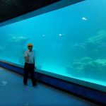 Akvarium, okeanariy uchun akril akril plitkalar