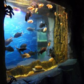 2018 Akvarium oyna uchun eng sifatli akril panel