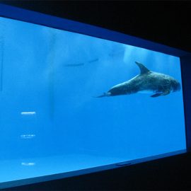 Yuqori sifatli akvarium akvarium / hovuz oynasi