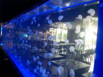 Akril plastmassa jellyfish tanki