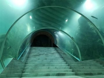 Akril tunnel akvariumning loyihaviy narxi
