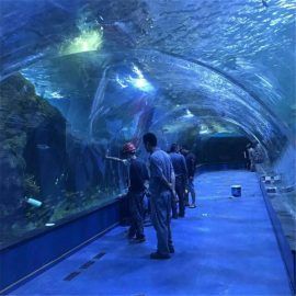 Akvaryumda akril tunnel okeanerium loyihasi