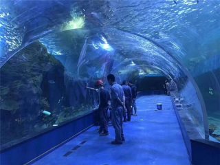 Maxsus pleksiglas akril tunnel akvarium