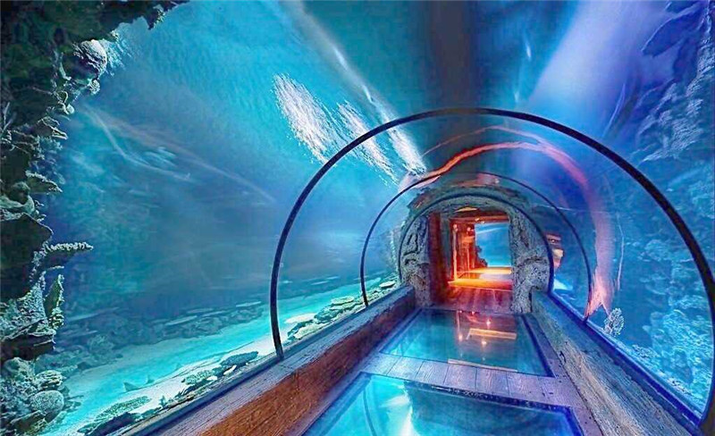 Zamonaviy dizayn akril akvarium uzun tunnel