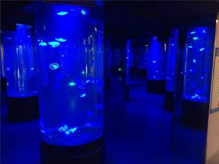 Akril suvozali akvarium tanki shishasi