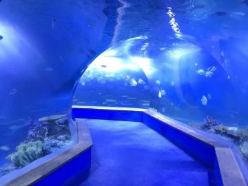 shaffof akril shisha Tunnel akvarium